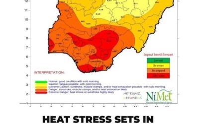 Heat Stress: Tips for Staying Hydrated and Safe for Airline Ground Operation Officers