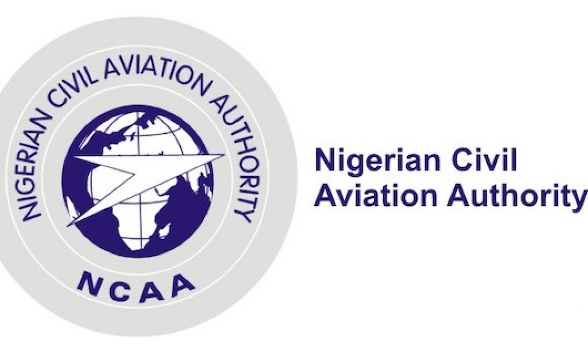 Advanced Passenger Information (API) Rule in Nigerian Aviation