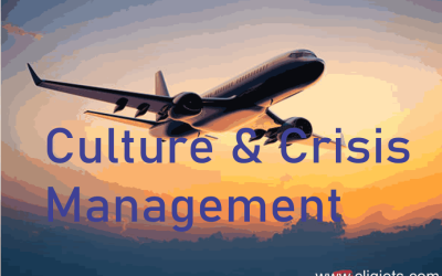 Culture and Society: Crisis Management in Flight Operations